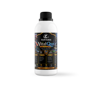 Vital Qua