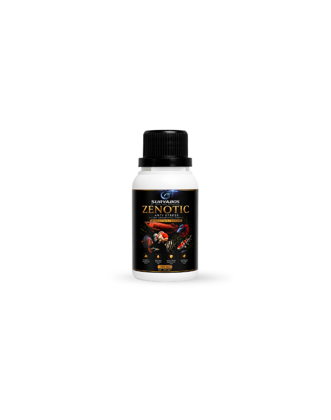 Zenotic - Gambar 2